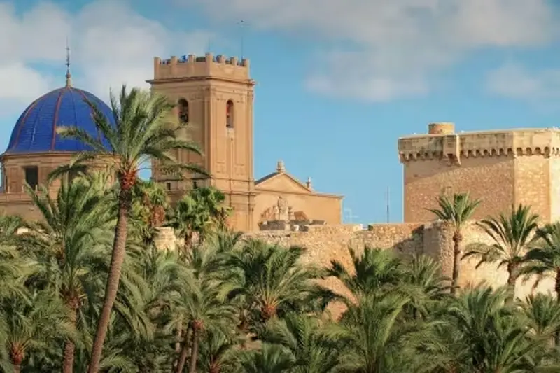 Vista de Elx-Elche para el directorio de Empresas de alquiler de maquinaria