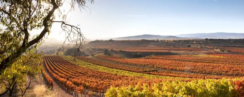 Vista de La Rioja para el directorio de Empresas de alquiler de maquinaria