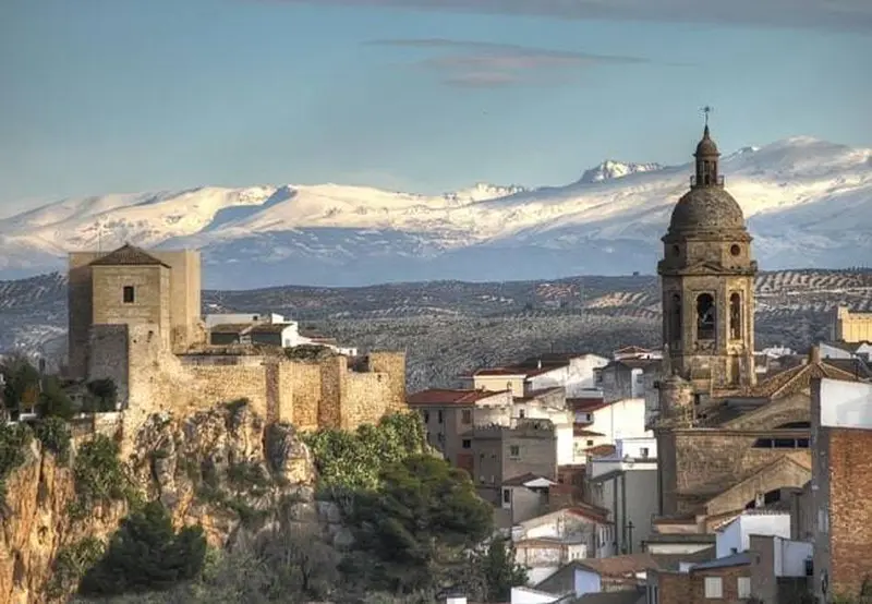 Vista de Loja para el directorio de Empresas de alquiler de maquinaria