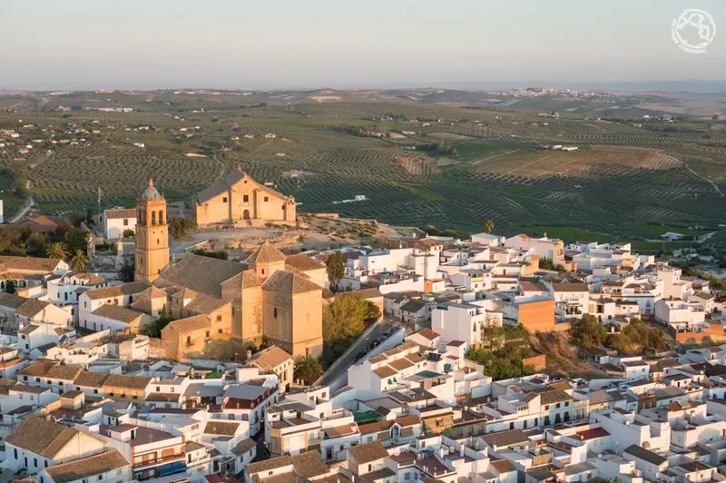 Vista de Montilla para el directorio de Empresas de alquiler de maquinaria