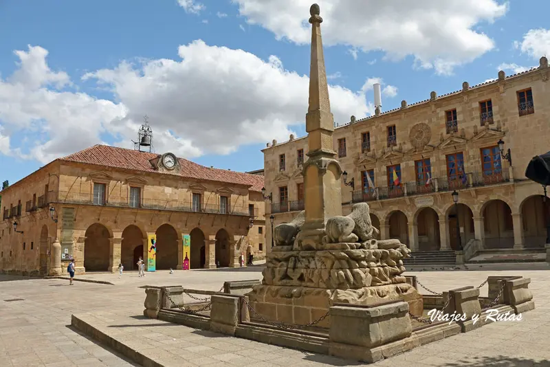 Vista de Soria para el directorio de Empresas de alquiler de maquinaria
